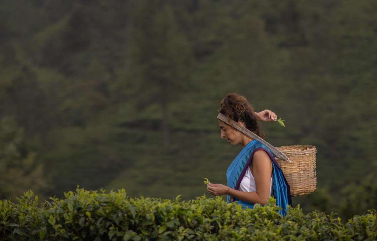 Готель Heritance Tea Factory (adults Only) Нувара-Елія